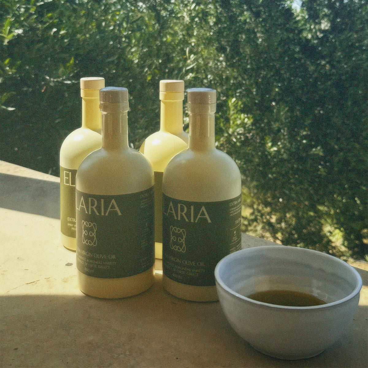 ELARIA